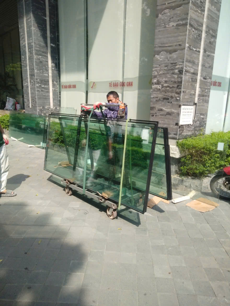 Các tấm kính khung nhôm được vận chuyển trên xe đẩy bên ngoài tòa nhà tế bào gốc CBX
